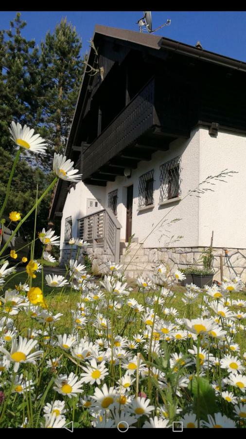 River House Hrib เปรดวอร์ ภายนอก รูปภาพ
